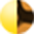 Gold_Black_Tortoise