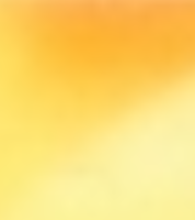 Transparent_Tortoise_Orange