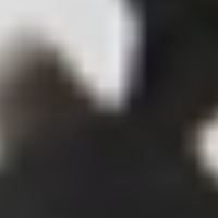 Tortoise_Transparent