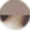 Champagne_Tortoise