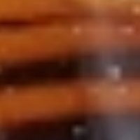 Tortoise_Orange