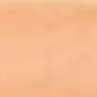 Transparent_Champagne