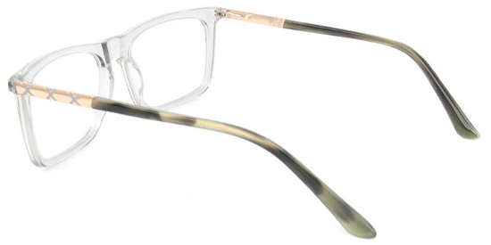 Vigor​ Glasses Transparent_Gray