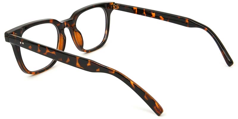 Avery​ Glasses Tortoise
