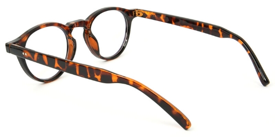 Zara​ Glasses Tortoise