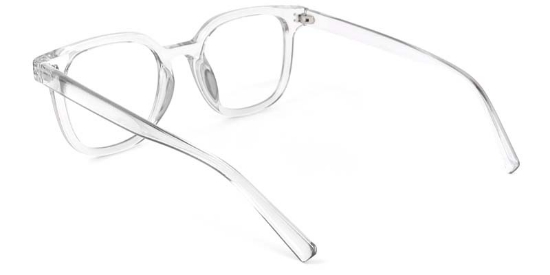 Dara Glasses Transparent_Gray