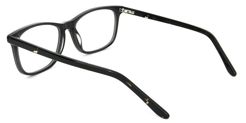 Haze​ Glasses Black_Transparent