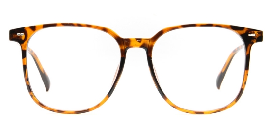 Kael​ Glasses Tortoise