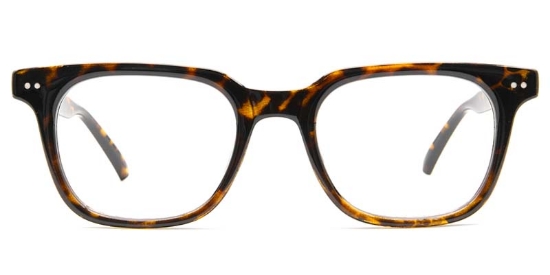 Avery​ Glasses Tortoise