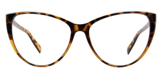 Zane​ Glasses Tortoise