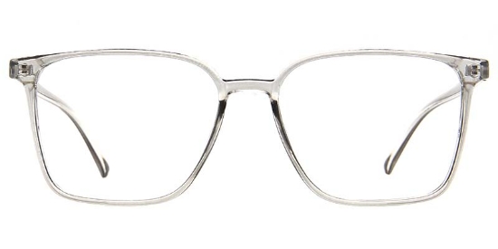 Niche​ Glasses Transparent_Gray