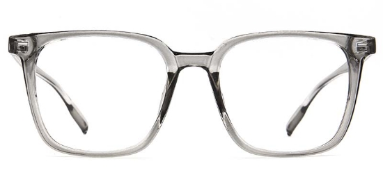 Faye Glasses Transparent_Gray