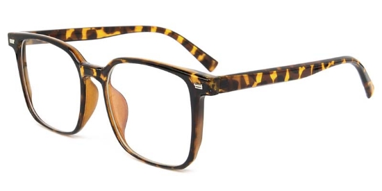 Ivor Glasses Tortoise