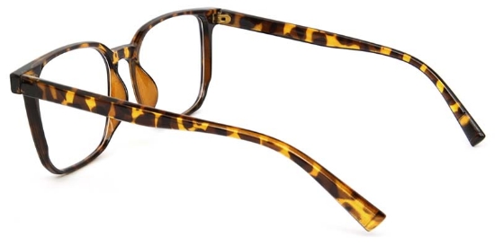 Ivor Glasses Tortoise