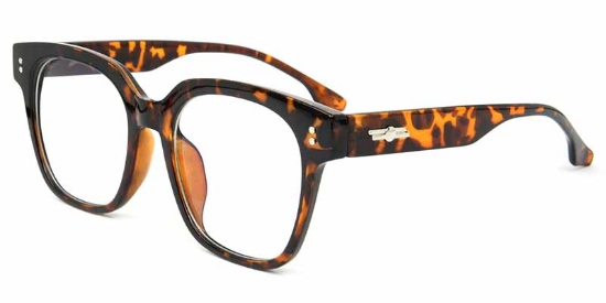 Haven​ Glasses Tortoise