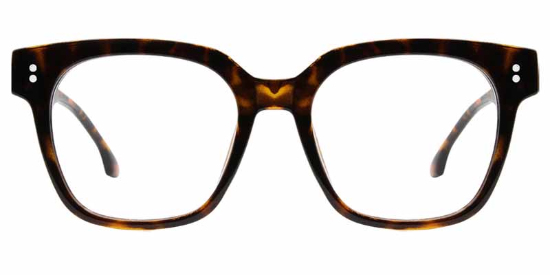 Haven​ Glasses Tortoise