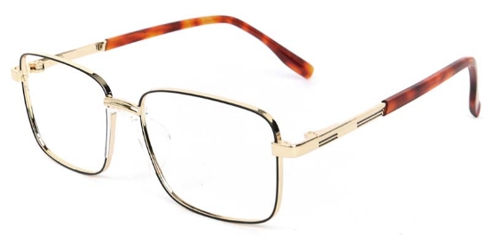 Birch​ Glasses Gold_Tortoise