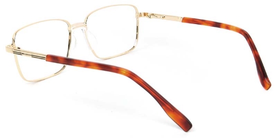 Birch​ Glasses Gold_Tortoise