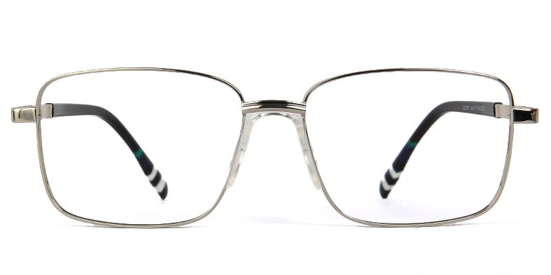 Birch​ Glasses Silver