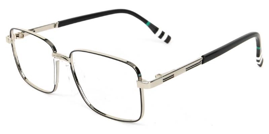 Birch​ Glasses Silver_Black