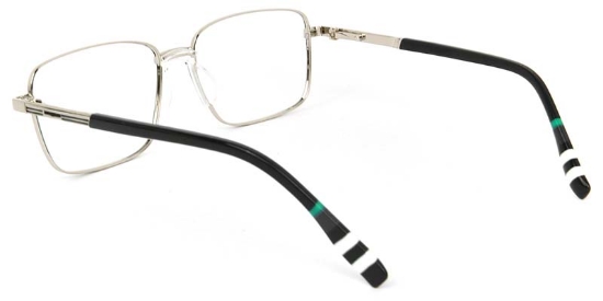Birch​ Glasses Silver_Black