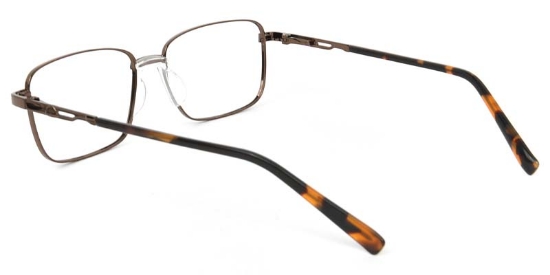 Cedar​ Glasses Bronze