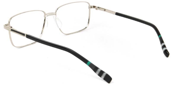 Daisy​ Glasses Silver