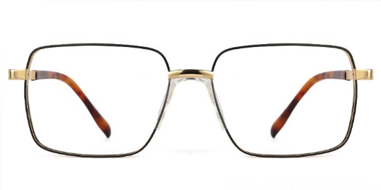Grove​ Glasses Gold_Tortoise