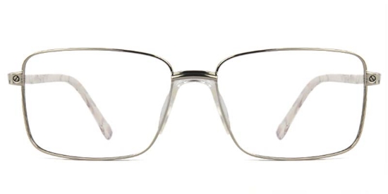 Holly​ Glasses Silver