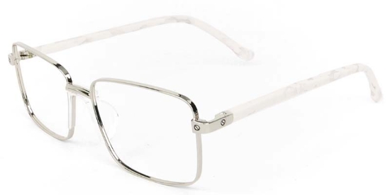 Holly​ Glasses Silver