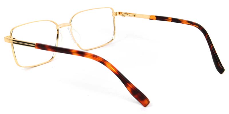 Kelp​ Glasses Gold_Tortoise