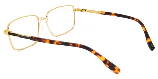 Lichen​ Glasses Gold