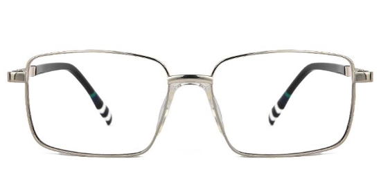 Lichen​ Glasses Silver