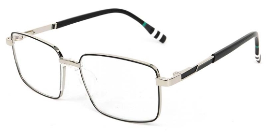 Lichen​ Glasses Silver_Black