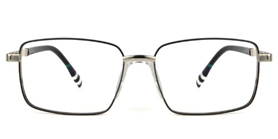 Lichen​ Glasses Silver_Black
