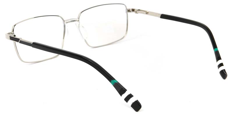 Lichen​ Glasses Silver_Black