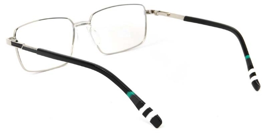 Lichen​ Glasses Silver_Black