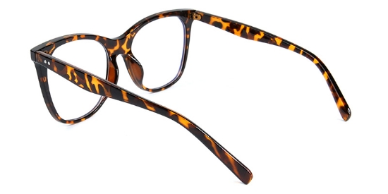 Ariel​ Glasses Tortoise