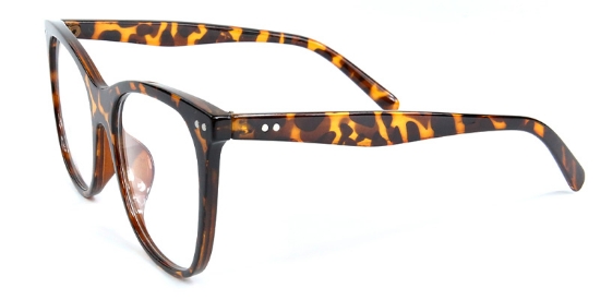 Ariel​ Glasses Tortoise
