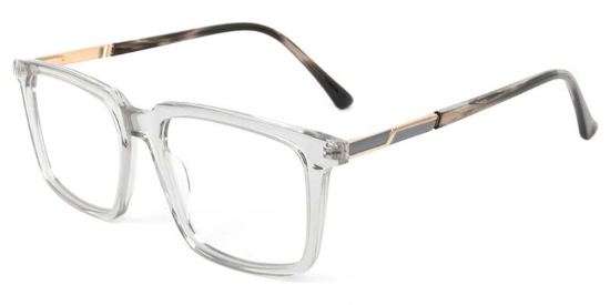 Vitality​ Glasses Transparent_Gray
