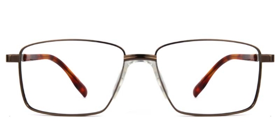 Meadow​ Glasses Bronze