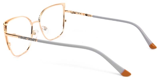 Violet​ Glasses Gold_Gray
