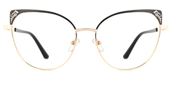 Xerophyte​ Glasses Gold_Black