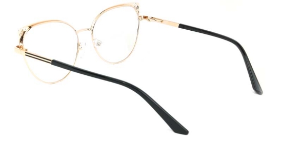 Xerophyte​ Glasses Gold_Black