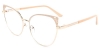 Picture of Xerophyte​ Glasses
