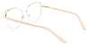 Picture of Xerophyte​ Glasses