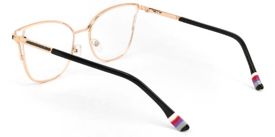 Yarrow​ Glasses Gold_Tortoise