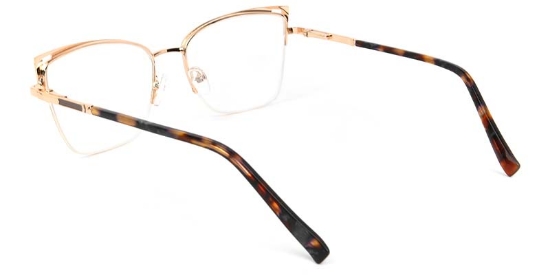 Coral​ Glasses Gold_Brown
