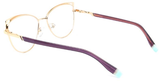 Frost​ Glasses Gold_Brown
