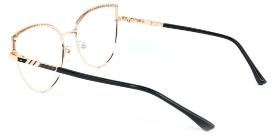 Crest​ Glasses Gold_Black